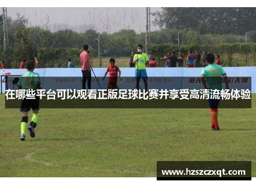 在哪些平台可以观看正版足球比赛并享受高清流畅体验